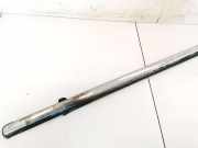 Zierleiste Leiste - Hinten Linke Chrysler 300C, I 2005.01 - 2010.06 Gebraucht,