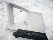 Verkleidung Säule - HINTER LINKES Mercedes-Benz A-CLASS, W169, 2008.09 - 2012.06 facelift a1696900625,