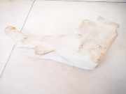 Scheibenwaschbehälter Vorne Wischwasserbehälter Mitsubishi L200, 1996.10 - 2007.12 05288152, 04389448