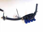 Einspritzleiste Gasanlage Opel Vectra, B 1995.09 - 2000.09 e4110r000140,67r-010199