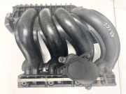 Ansaugkrümmer Mercedes-Benz W211, 2002.03 - 2006.04 A61109037,