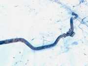 Stabilisator Stabi Hinten Hinterachse Audi A6, C5 2001.08 - 2005.01 facelift Gebraucht,