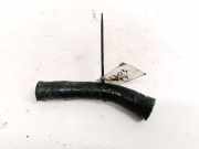 Kühlerschlauch Ford Focus, 1998.10 - 2002.10 Gebraucht ,