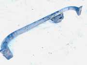 Stoßstangenträger vorne Audi 100, C4 1991.01 - 1994.06 Gebraucht,