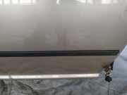 Zierleiste Tür Zier-Schutzleiste - Vorne Rechts Volkswagen Bora, 1998.01 - 2005.12 Gebraucht,