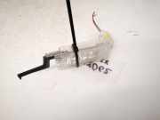 Innenraumleuchte Renault Scenic, II 2003.06 - 2006.06 8200024033,