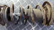 Fahrwerksfeder vorne Skoda Fabia, I 6Y 1999.08 - 2005.10 Gebraucht,
