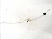 Kabel Toyota Aygo, 2005.07 - 2009.12 Gebraucht,