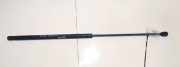 Gasdruckfeder Kofferraum Fiat Brava, 1995.10 - 2002.12 gs0067,