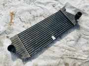 Ladeluftkühler Mercedes-Benz ML, W163 1998.02 - 2005.06 1035042,02021401 1030163