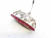 Gl?hlampe f?r T?rleuchte - Hinten Rechts Renault Laguna, II 2001.03 - 2006.05 8200003263a,