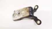 Türscharnier Vorne Chevrolet Captiva, 2006.01 - 2011.06 Gebraucht,