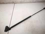 Gasdruckfeder Kofferraum Ford C-MAX, 2007.06 - 2010.12 3M51R406A10AB,3M51-R-406A10-AB 3M51-R406A10-AB 3M51R406A10AB