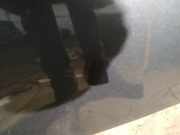 Waschwasserd?se Scheibenreinigung Volvo V50, 2007.05 - 2012.01 Gebraucht,