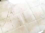 Ausgleichsbehälter Renault Scenic, II 2003.06 - 2006.06 8200262036,