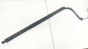 Gasdruckfeder Kofferraum Tesla Model S, I 2012.01 - 2016.06 600661000B,6006610-00-B