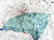 Seitenscheibe - Vorne Rechts Subaru Outback, III 2005.01 - 2009.06 Gebraucht,