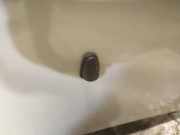 Waschwasserdüse Scheibenreinigung Renault Scenic, I 1999.09 - 2003.06 facelift Gebraucht,