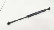Gasdruckfeder Kofferraum Volvo S40, 2004.01 - 2007.03 30674971,