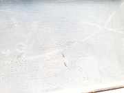 Zierleiste Tür Zier-Schutzleiste - Hinten Linke Citroen Xsara, I 1997.04 - 2000.09 9622691677,