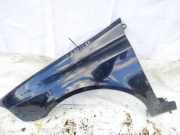 Kotfl?gel - Vorne Linke Renault Laguna, II 2001.03 - 2006.05 melynas,