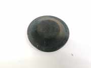 Blende Scheinwerfer - Vorne Renault Scenic, II 2003.06 - 2006.06 153874,