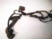 Kabelbaum Ford Transit Connect 2002.06 - 2008.12 2t1t14k138ff,2t1t-14k138-ff