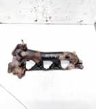 Abgaskrümmer Renault Scenic, II 2003.06 - 2006.06 8426549,8426549