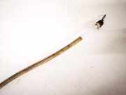 Seilzug ZUG Türschloss - Vorne Linke Audi A4, B5 1994.11 - 1999.09 Gebraucht,