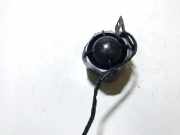 Alarmanlage Renault Clio, 2001.05 - 2004.11 facelift Gebraucht,