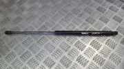 Gasdruckfeder Kofferraum Chevrolet Lacetti, 2004.01 - 2011.12 96548931,