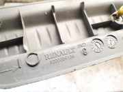 Zierleiste Renault Scenic, II 2003.06 - 2006.06 8200084134,