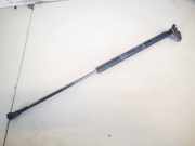 Gasdruckfeder Kofferraum Toyota Prius, 2003.06 - 2009.01 689500w430,68950-0w430