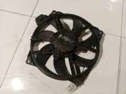 Kühlerlüfter Lüftermotor Renault Scenic, III 2009.02 - 2013.06 Gebraucht,