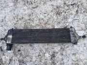 Ladeluftkühler Nissan Qashqai, I 2006.01 - 2010.06 G3062005,14461-JD50B