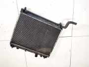 Wasserk?hler Toyota Yaris, II (XP90) 2005.01 - 2011.01 Gebraucht,