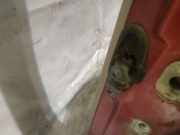 Türfangband Türbremse Türstopper - Hinten Linke Chrysler PT Cruiser, I 2000.01 - 2010.12 Gebraucht,