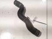 Kühlerschlauch Peugeot 407, 2004.05 - 2010.12 Gebraucht,