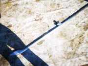 Dachreling Linke Audi A6, C5 2001.08 - 2005.01 facelift Gebraucht,