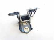 Türscharnier Vorne Renault Scenic, II 2003.06 - 2006.06 Gebraucht,