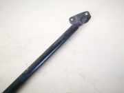 Gasdruckfeder Kofferraum Opel Corsa, D 2006.07 - 2010.06 13182537,