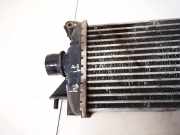 Ladeluftkühler Nissan Almera, N16 2003.01 - 2006.12 facelift Gebraucht,