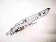 Lang Heckklappe Scharniere Scharnier Links BMW 3-Series, E46 1998.02 - 2002.06 41628220073, 41.62-8220073