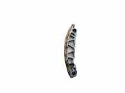 Gleitschiene Steuerkette Audi A6, C6 2005.01 - 2008.10 Used,