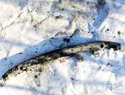 Sto?stangenhalter - Vorne Subaru Legacy, BL, BP 2003.09 - 2009.12 57707ag080,