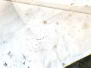 Seitenscheibe - Vorne Rechts Mitsubishi Colt, 2008.09 - 2012.12 dot24as2m68,