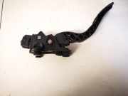 Pedalwerk Dodge Journey. 2009.01 - 2014.12 04891586ab,49776560672
