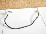 Kabelbaum Nissan Primera, P12 2002.01 - 2008.12 87019av000,