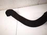 Schlauch für Luftversorgung Renault Clio, 2005.05 - 2009.06 8200381079,