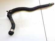 Kühlerschlauch Renault Zoe I 2012 - 2020.06 hsr20479, 110613065r